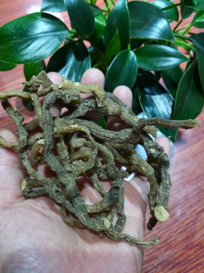 野生无硫小玉竹条野生玉竹