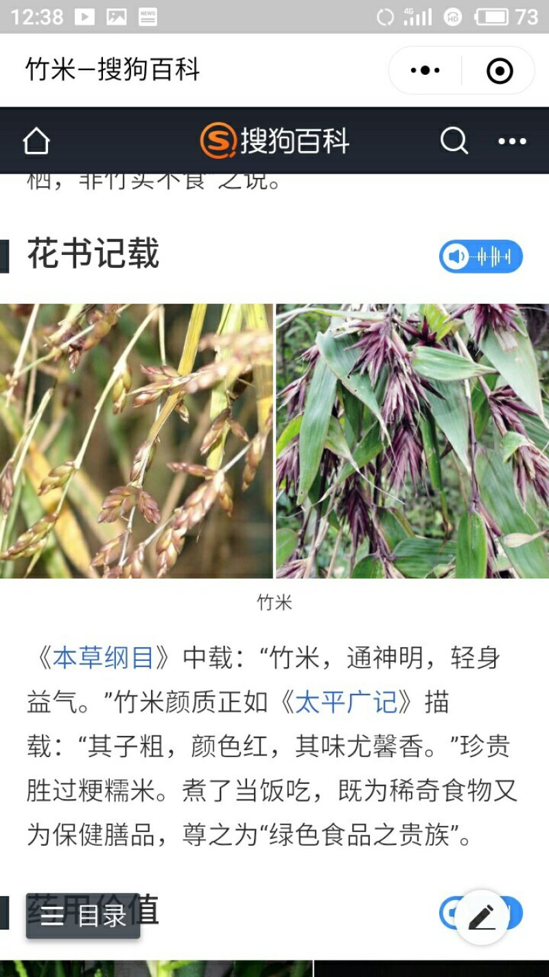 野生刺竹竹米