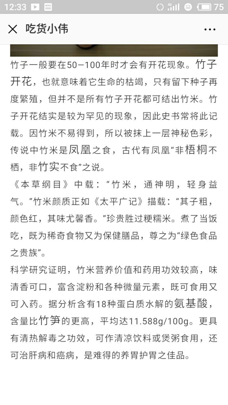 野生刺竹竹米