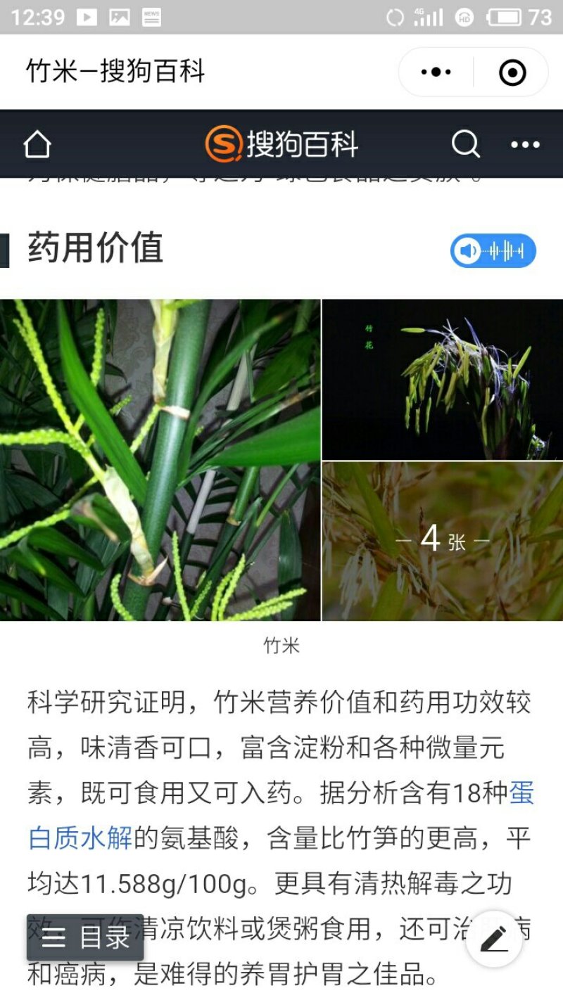野生刺竹竹米