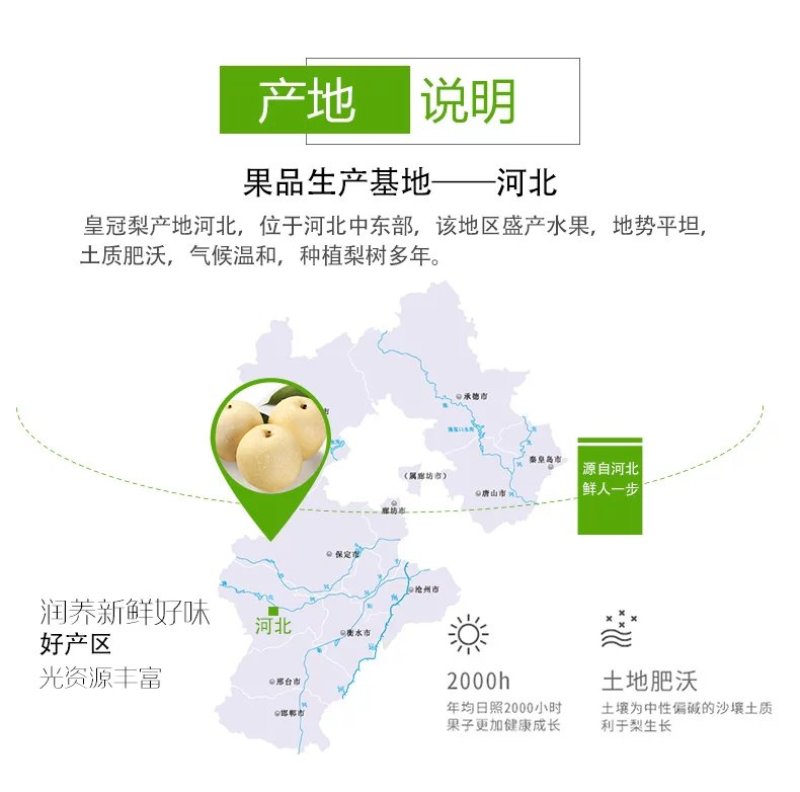 【牛商推荐】精品皇冠梨脆甜多汁产地直达电商一件代发