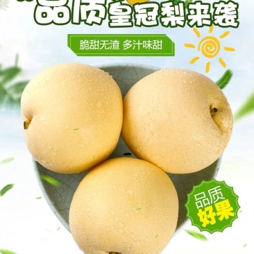 【牛商推荐】精品皇冠梨脆甜多汁产地直达电商一件代发