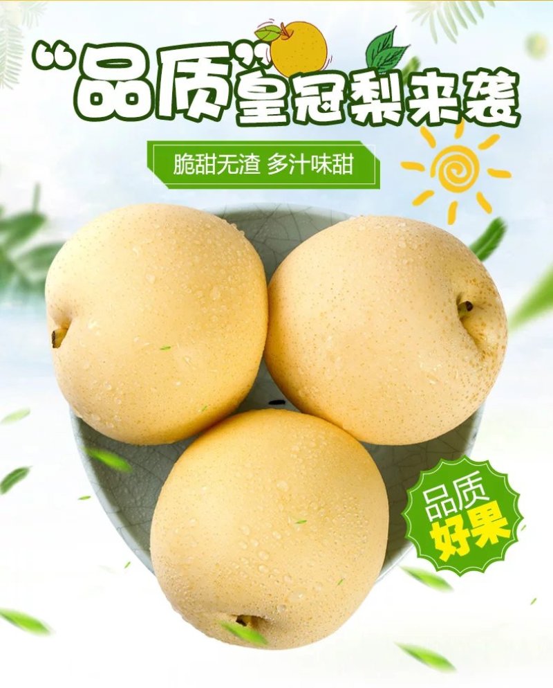 【牛商推荐】精品皇冠梨脆甜多汁产地直达电商一件代发