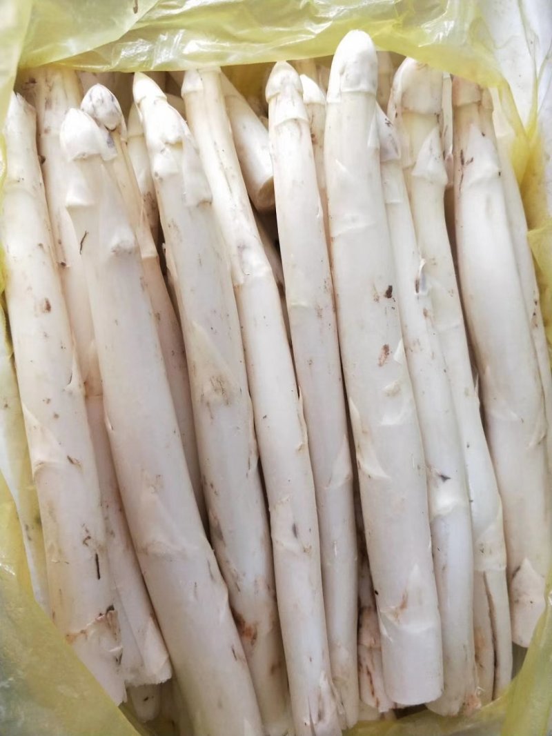 芦笋白芦笋一级白芦笋条形直一件代发包邮精选