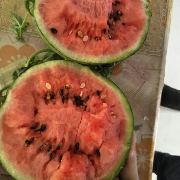 西瓜