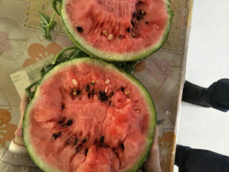 西瓜
