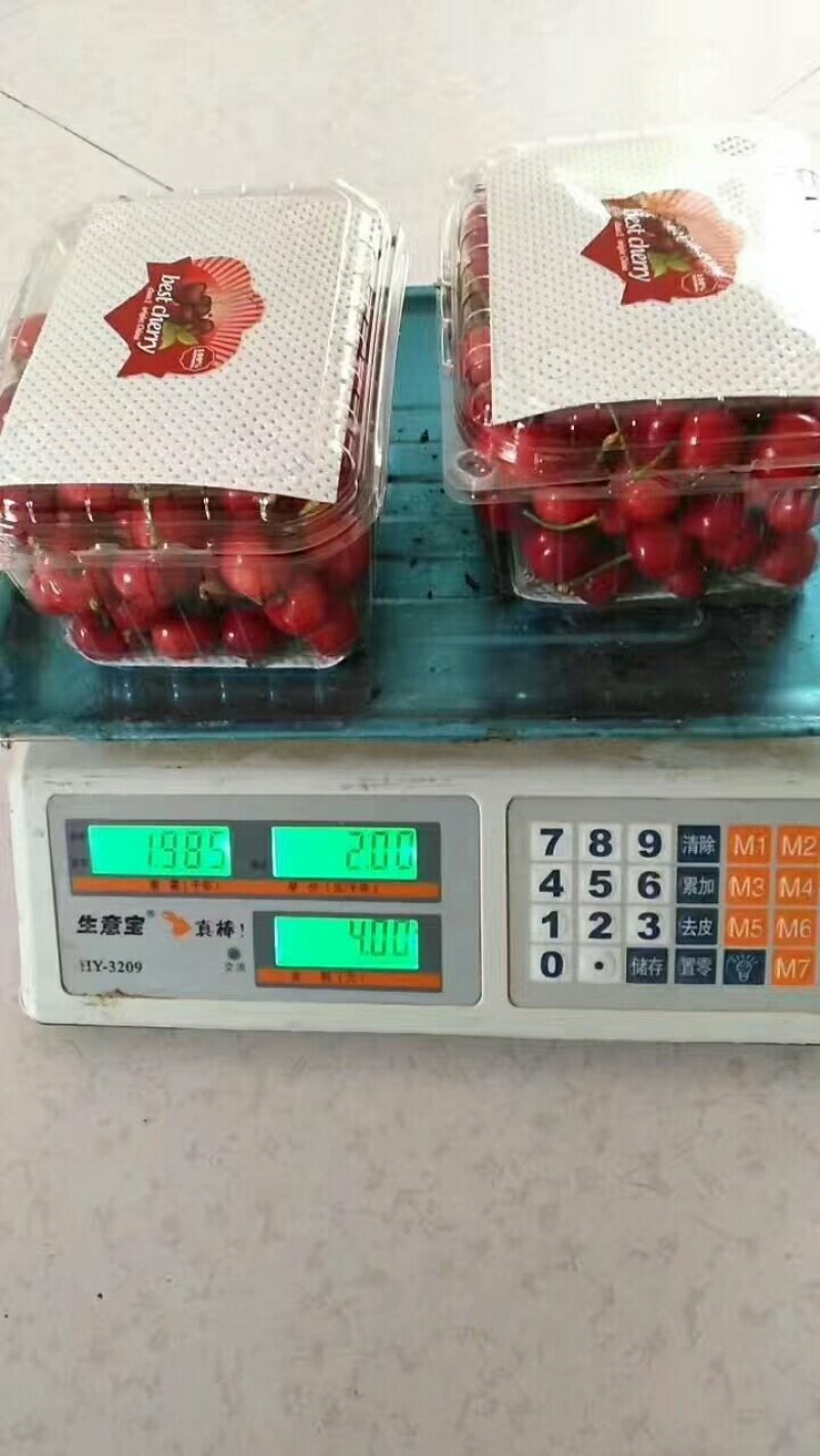 大荔樱桃陕西大棚樱桃美早，萨米托，红灯