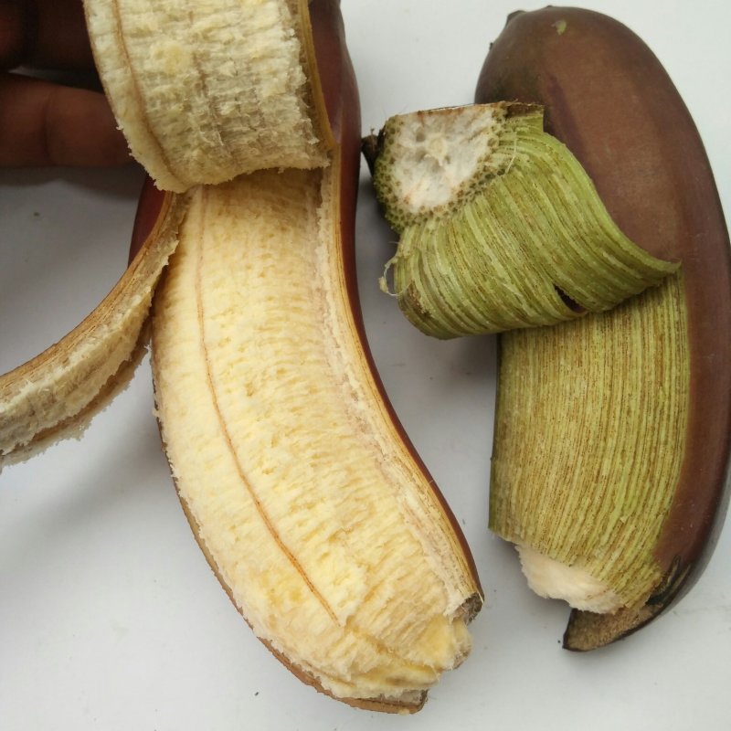 红皮香蕉红美人香蕉应季水果3斤5斤9斤整箱包邮