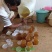 野生树洞蜂蜜