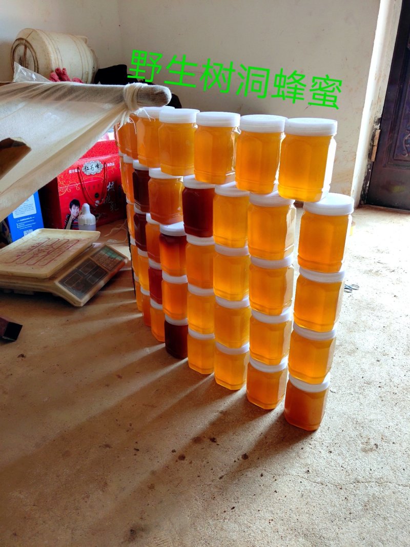 野生树洞蜂蜜
