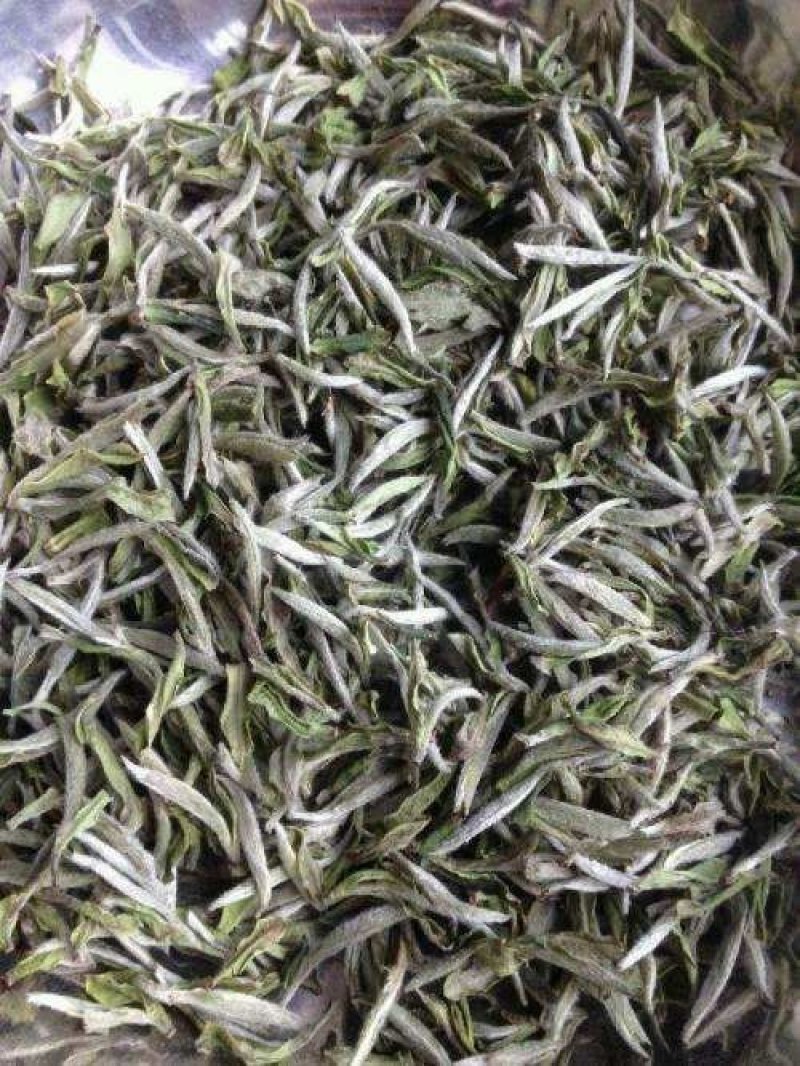 福鼎正宗管阳高山白茶