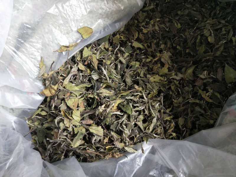 福鼎正宗管阳高山白茶