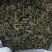 福鼎正宗管阳高山白茶