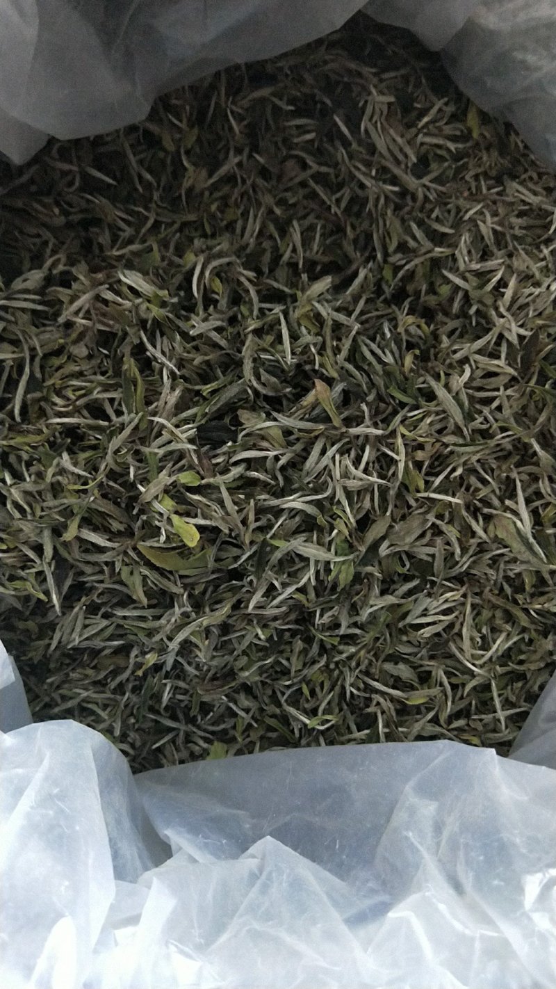 福鼎正宗管阳高山白茶