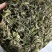 福鼎正宗管阳高山白茶