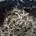 福鼎正宗管阳高山白茶
