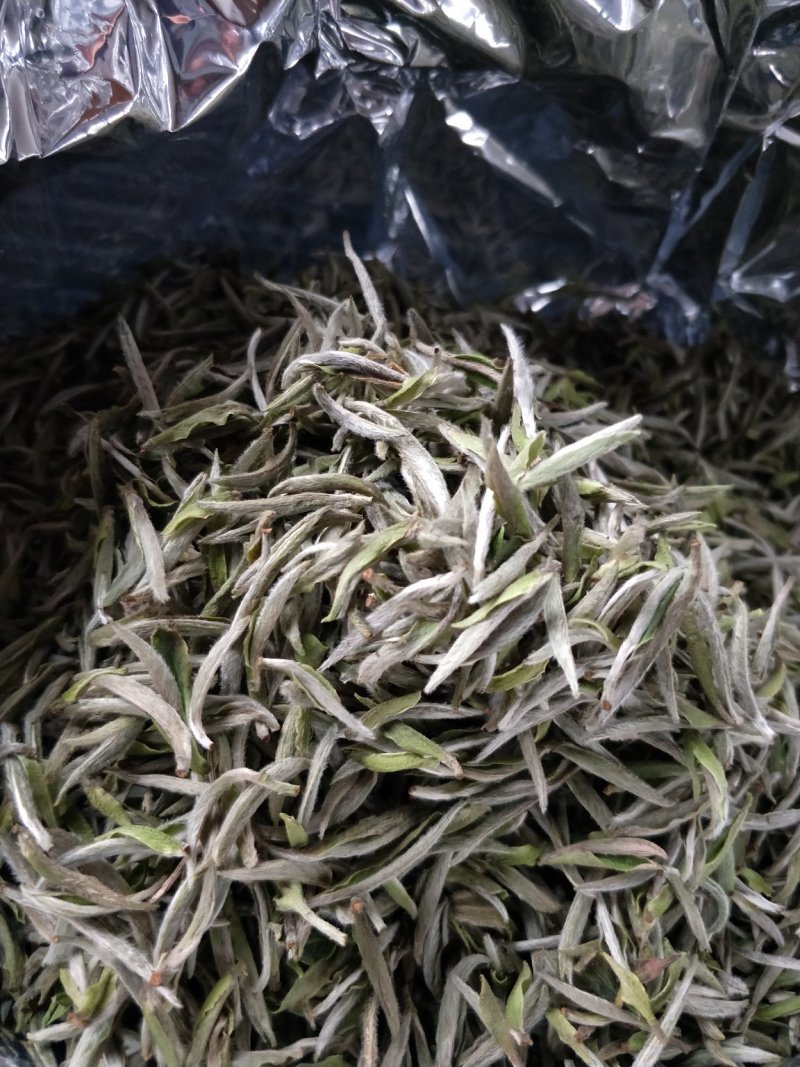 福鼎正宗管阳高山白茶