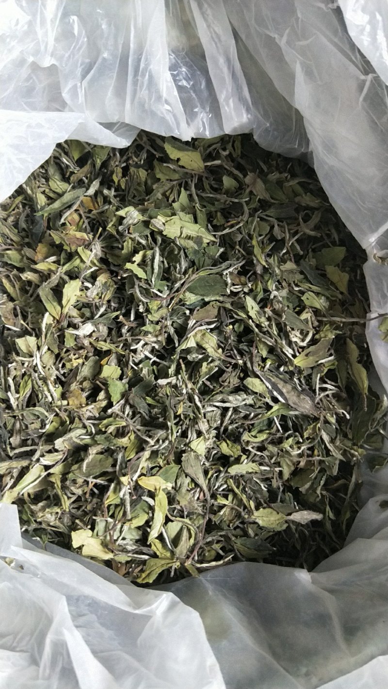 福鼎正宗管阳高山白茶