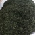 福鼎正宗管阳高山白茶
