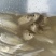 青苔鱼苗供应！！！！！！！！！