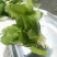 油菜