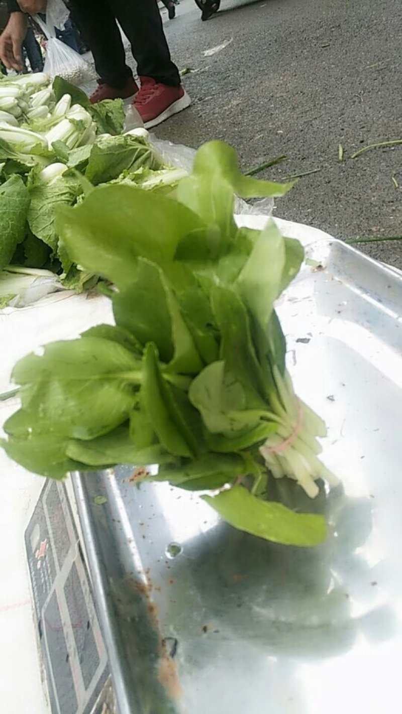 油菜