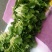 油菜