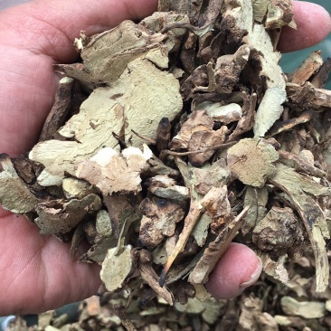 香茶菜铁零角中药材大货供应量大从优物美价廉