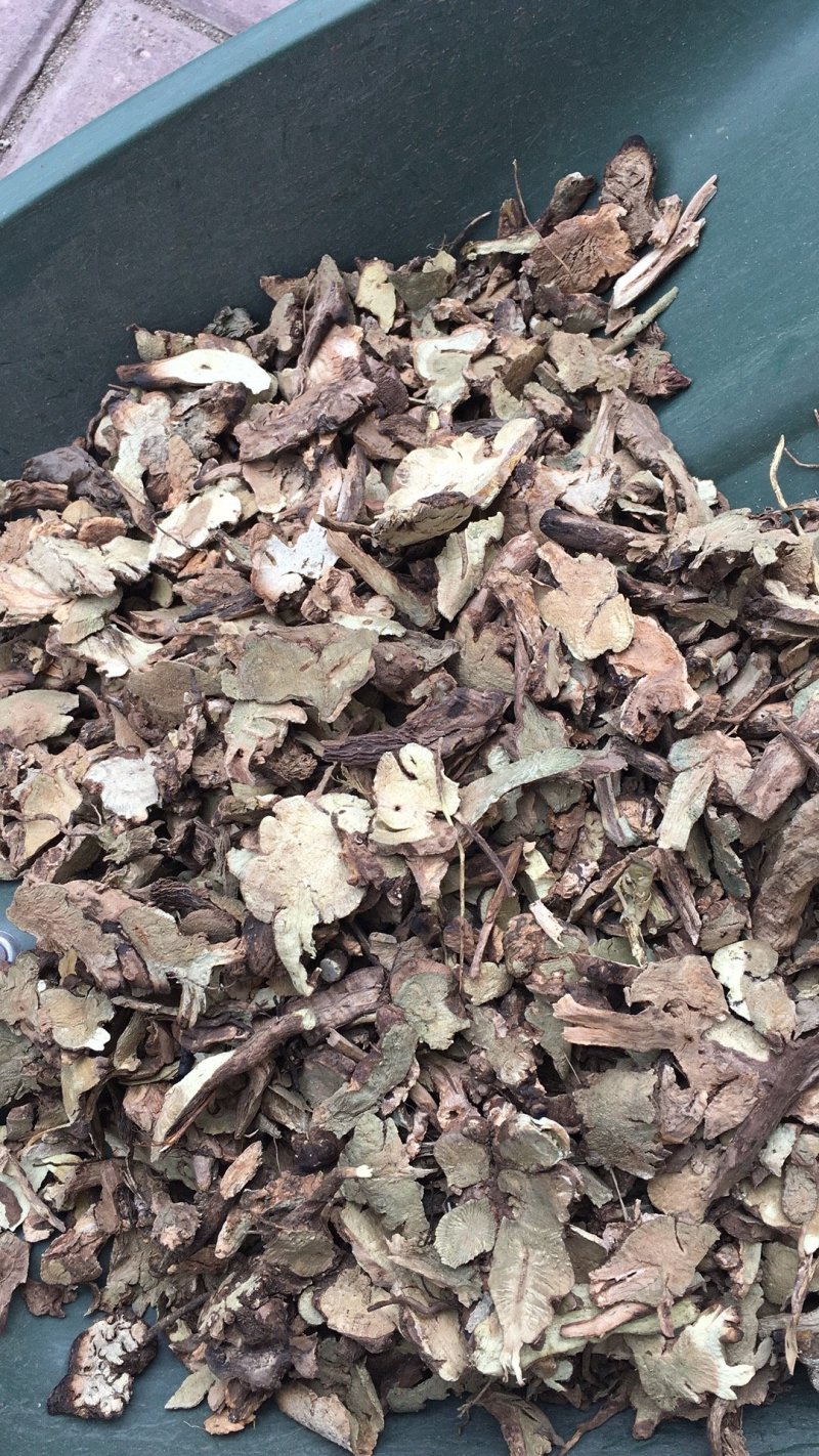 香茶菜铁零角中药材大货供应量大从优物美价廉