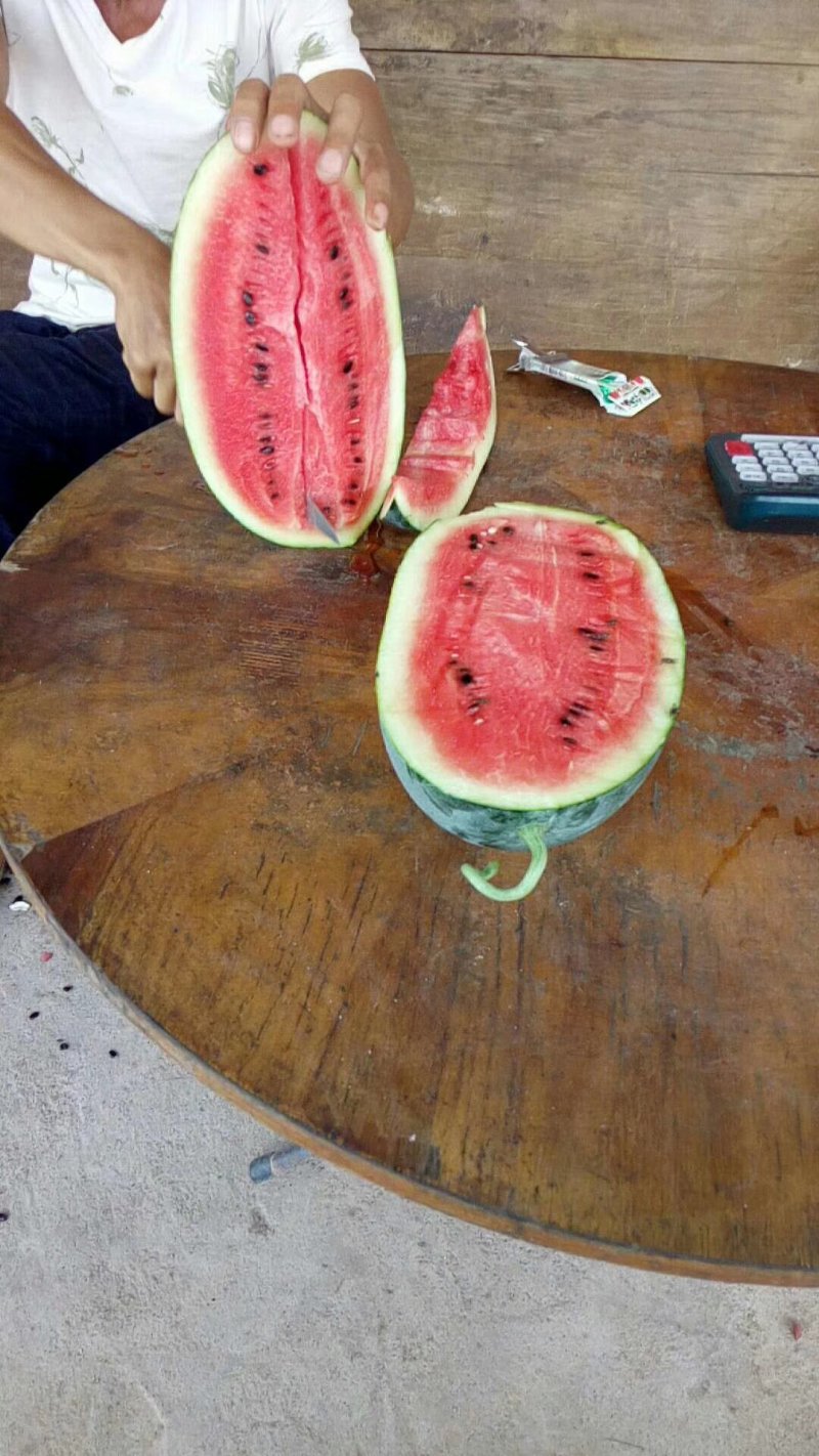 大量供应西瓜
