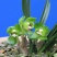 特香兰花春兰蕙兰花苗建兰墨兰蝴蝶兰花卉绿植兰花苗四季兰