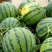 西瓜🍉