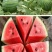 西瓜🍉
