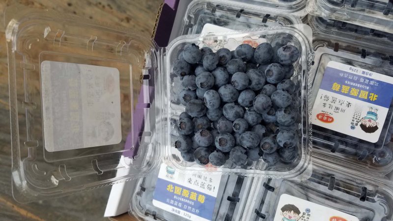 北陆蓝莓鲜果蓝莓水果产地供应生产厂家基地大量批发