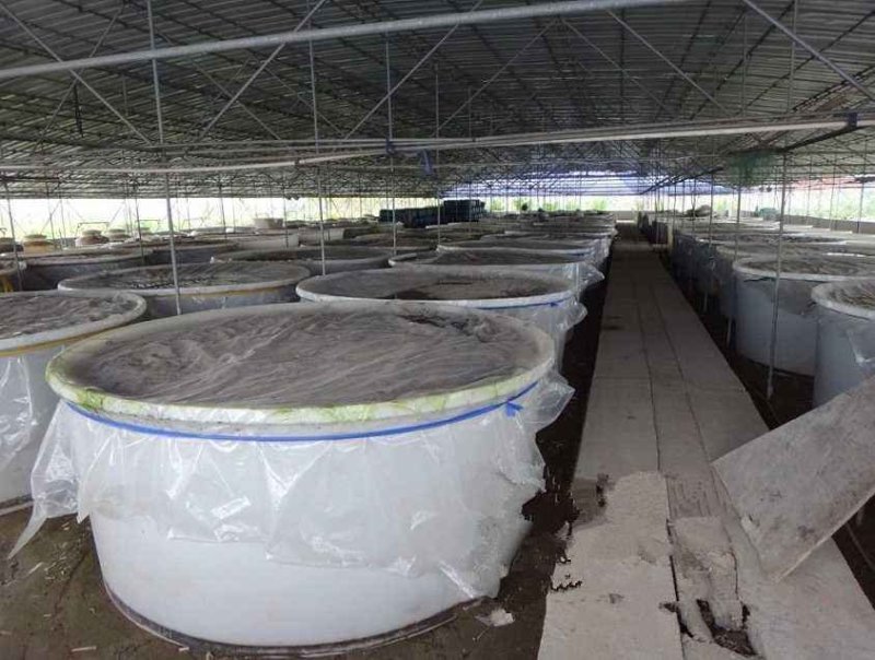 食品级泡菜专用塑料桶敞口塑料桶厂家直销