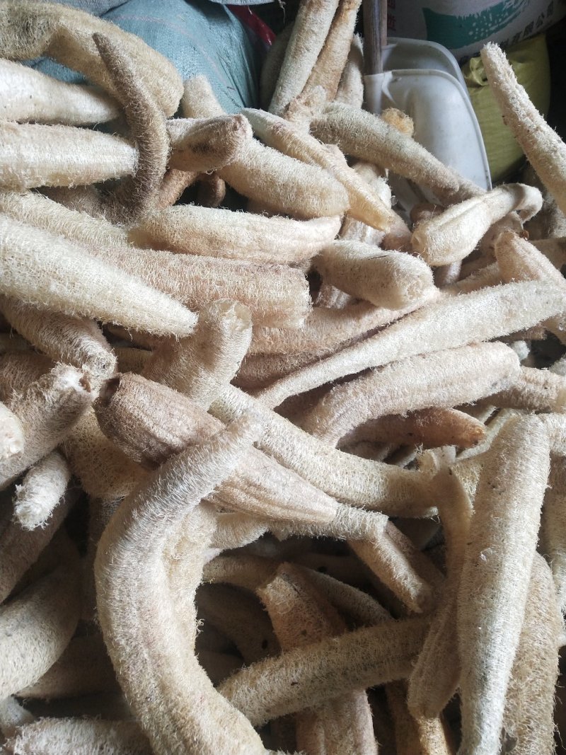 丝瓜络大货，新货，无黑，无霉，籽少，各种规格，