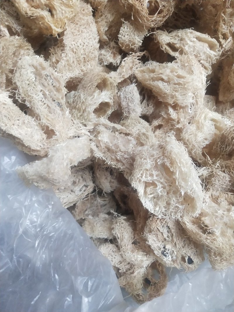 丝瓜络大货，新货，无黑，无霉，籽少，各种规格，