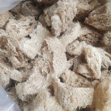 丝瓜络大货，新货，无黑，无霉，籽少，各种规格，