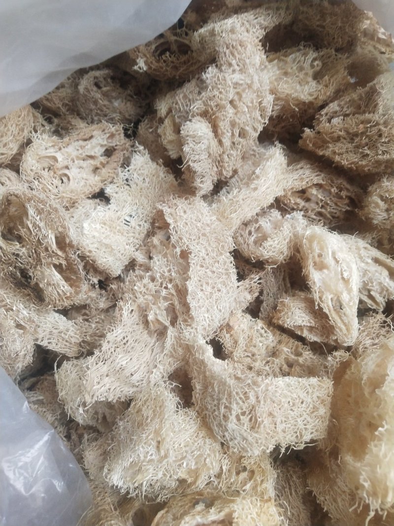 丝瓜络大货，新货，无黑，无霉，籽少，各种规格，