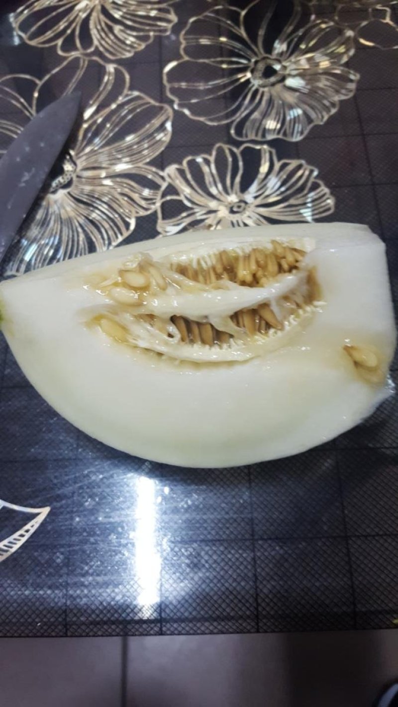 阎良甜瓜五斤装