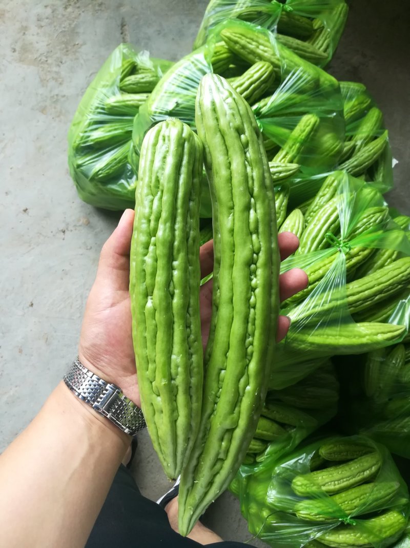 鲜辣椒线椒黄皮尖椒泡椒黑皮椒
