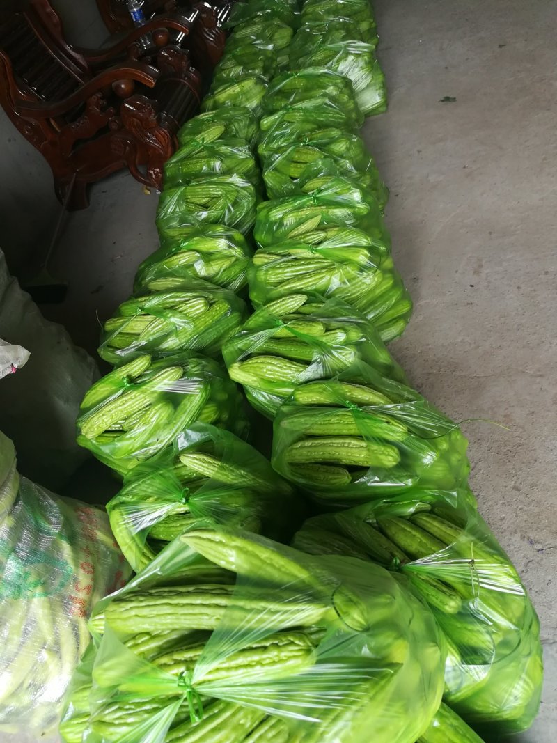 鲜辣椒线椒黄皮尖椒泡椒黑皮椒