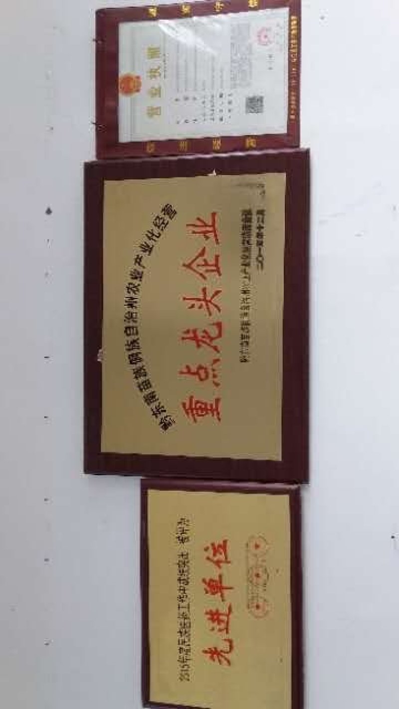 贵州大天冬苗