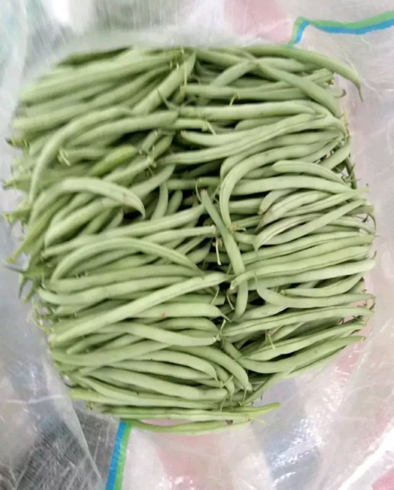 四季豆，产地直供，可视频验货，现采现摘，