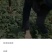 甜王系列大量上市！10斤以上！