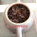 2008年樟香普洱熟茶砖
