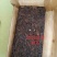 2008年樟香普洱熟茶砖