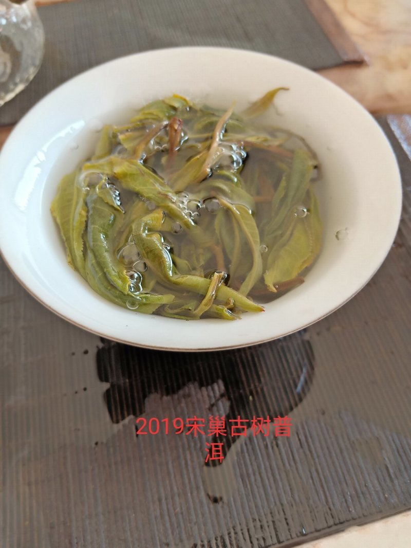 冰岛南迫2019年古树头春