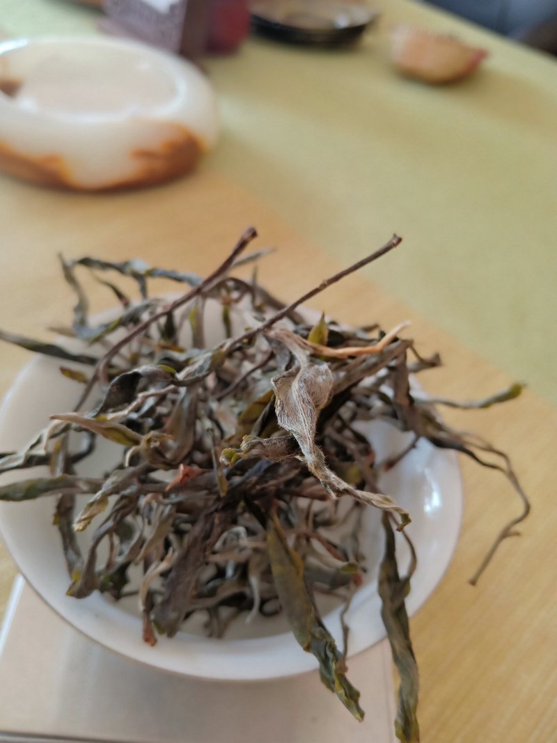 冰岛南迫2019年古树头春