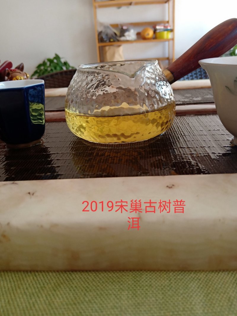 冰岛南迫2019年古树头春